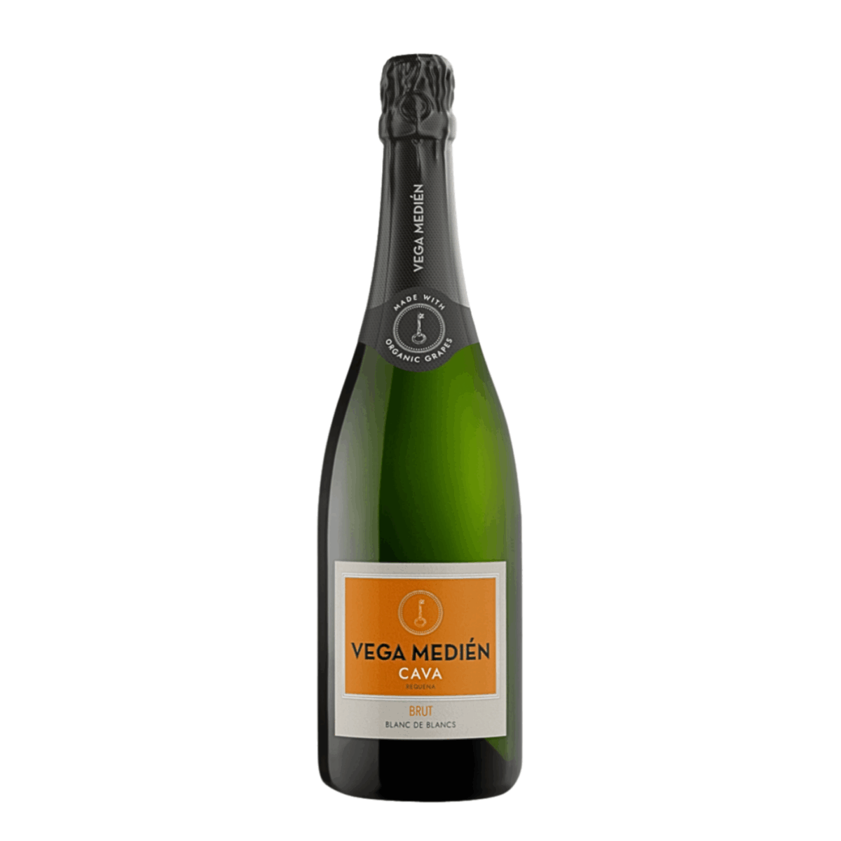 VEGA MEDIÉN  BRUT