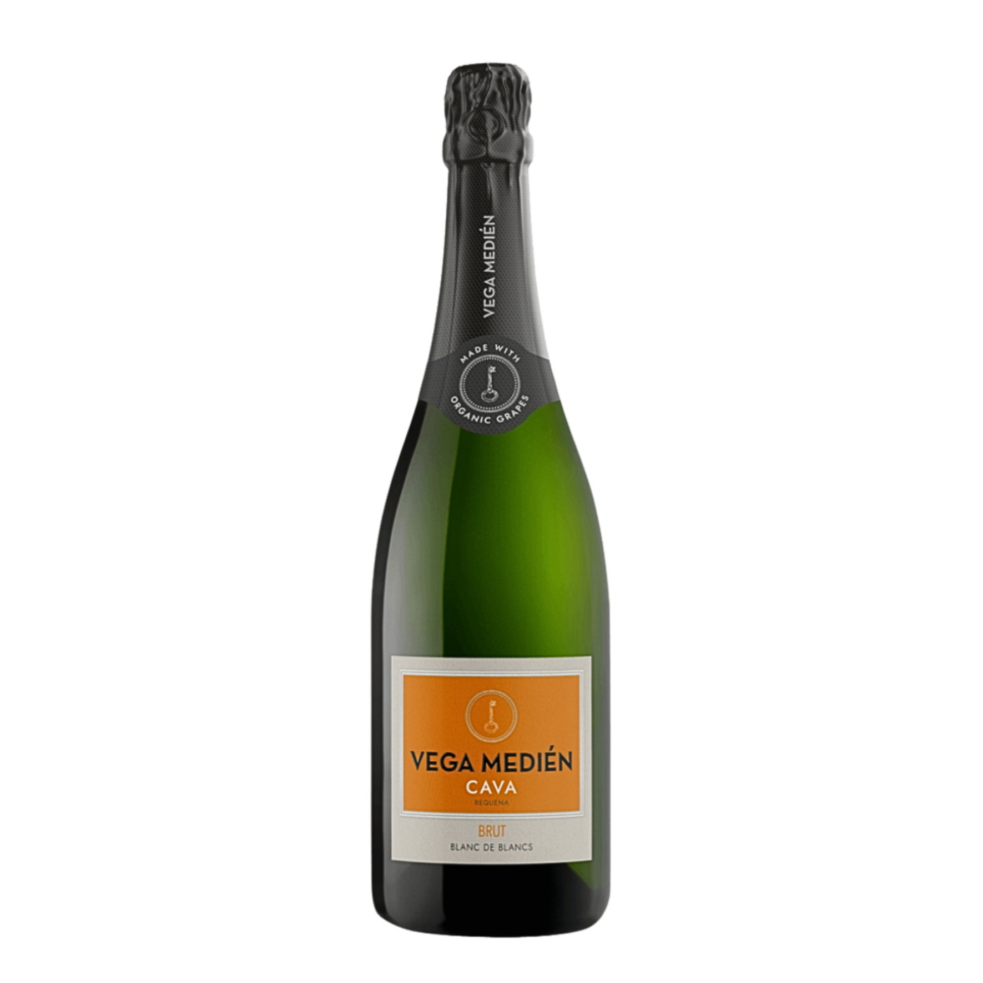 VEGA MEDIÉN  BRUT