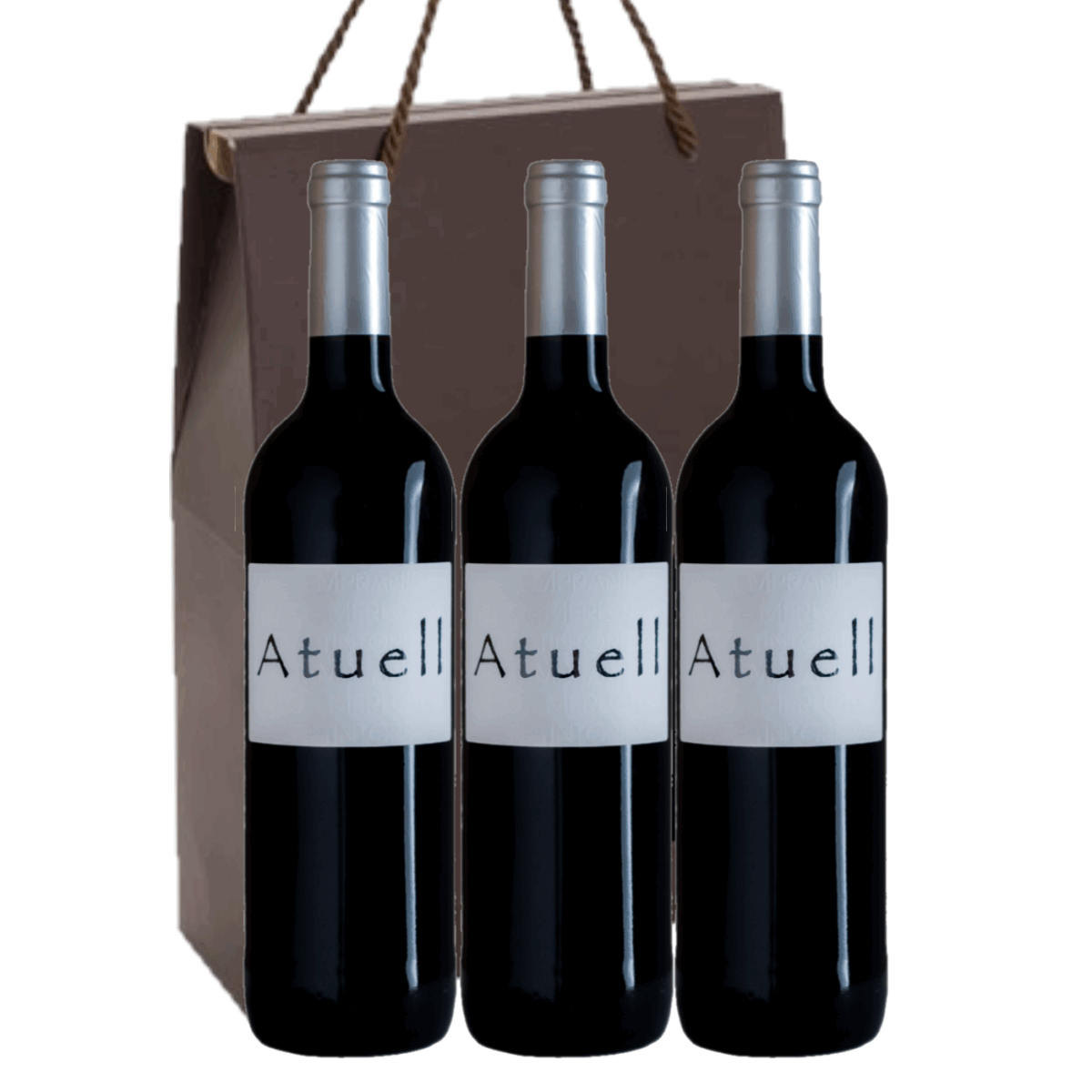 ESTUCHE MODELO 303