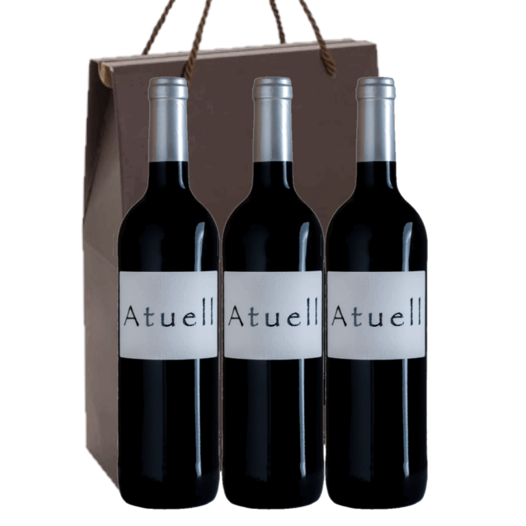 ESTUCHE MODELO 303